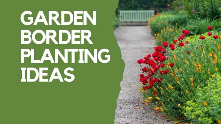 How to create stunning garden borders – essential tips