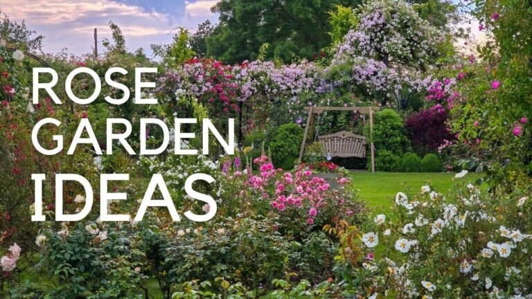 Expert Tips for a Gorgeous Garden! Choosing Roses: Arches, Pergolas, Fences, Obelisks…
